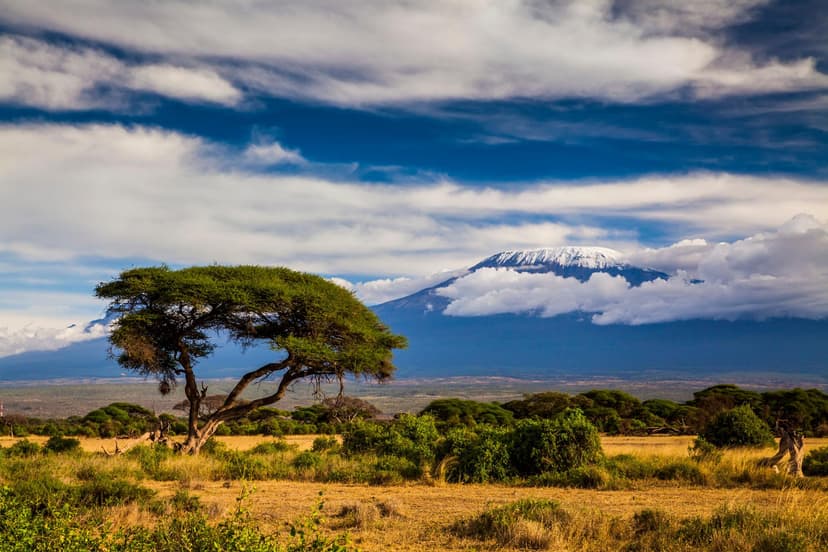 Africa - photo 8
