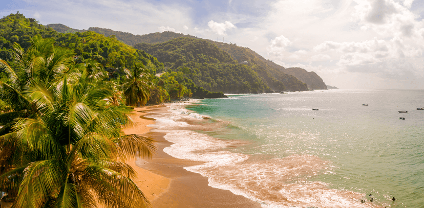 Caribbean - photo 1
