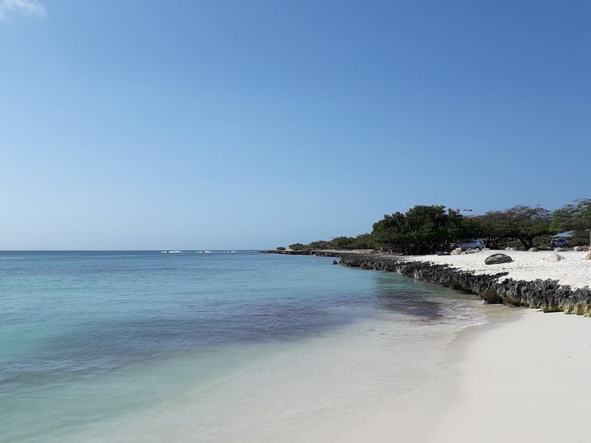 Eau turquoise peu profonde et sable blanc le long d'Eagle Beach, côte ouest d'Aruba
