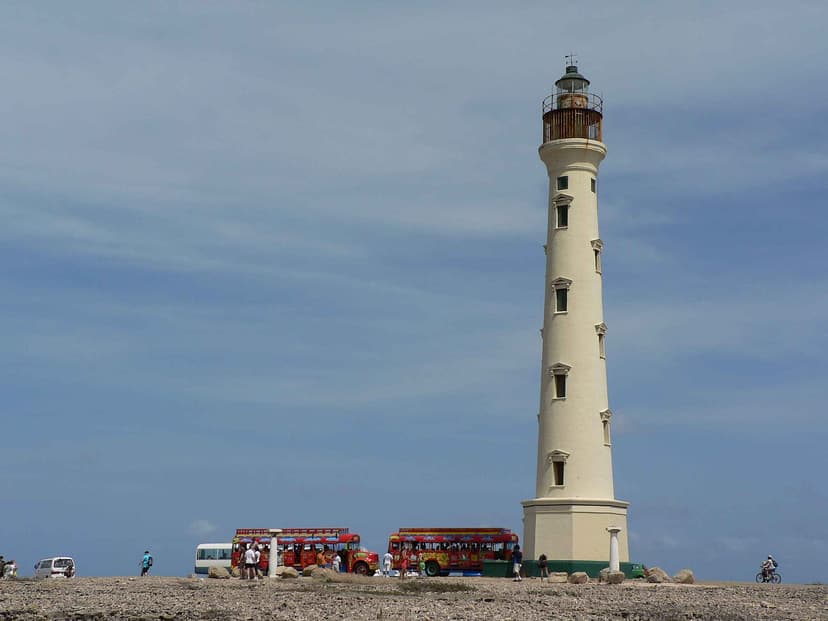 Phare California et bus colorés de visiteurs à la pointe nord-ouest d'Aruba