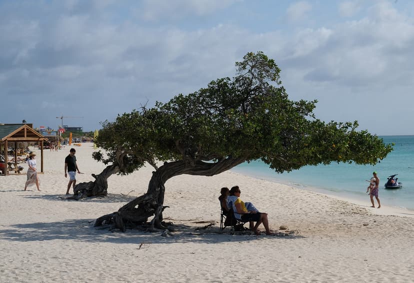 Aruba - photo 1