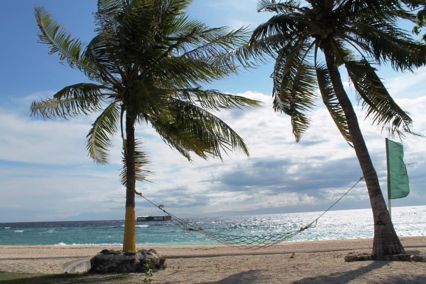 Plage de l'île de Balicasag avec cocotiers et hamac face à la mer, au large de Panglao