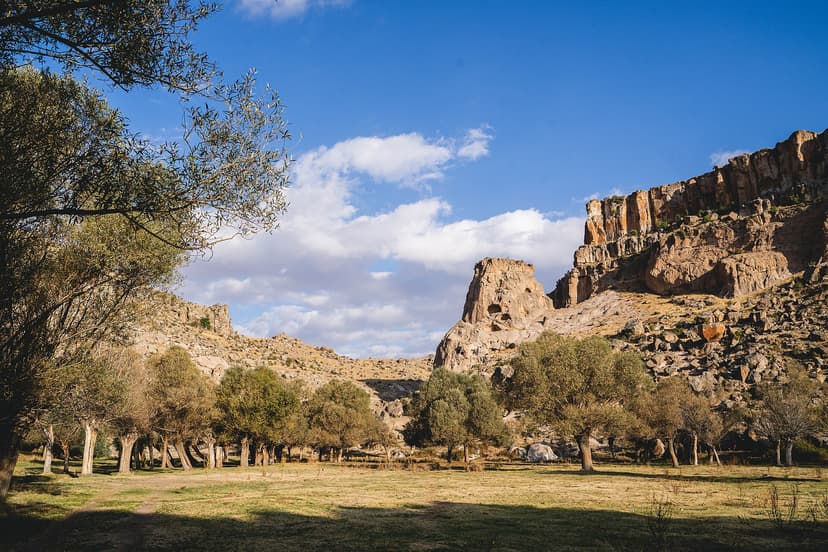 Peupliers et falaises de basalte au fond de la vallée d'Ihlara, sud de la Cappadoce