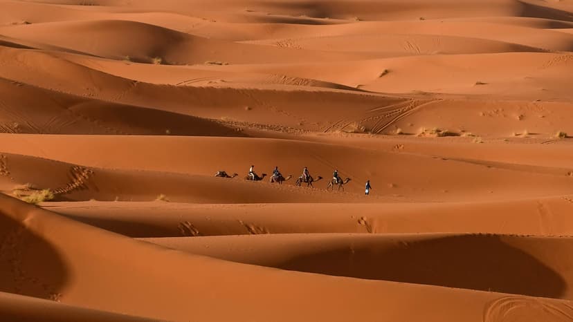 Small camel caravan crossing the vast orange dunes of Erg Chebbi near Merzouga, Morocco