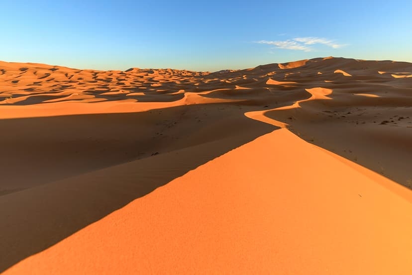 Sharp dune crest sculpted by low evening light in Erg Chebbi, Merzouga, Morocco