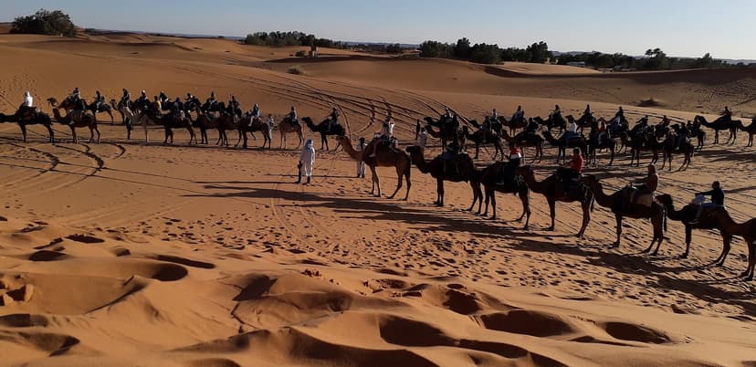 Long line of camels and visitors setting off towards the Erg Chebbi desert camps, Merzouga