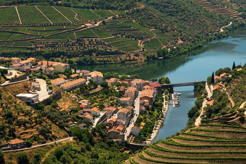 Douro - photo 1