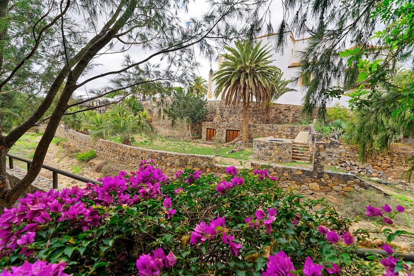 Bougainvilliers en fleurs et murets de pierre sèche dans le village historique de Betancuria, Fuerteventura