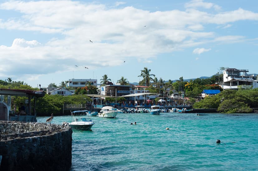Bateaux au mouillage et maisons du front de mer dans le port de Puerto Ayora, Santa Cruz