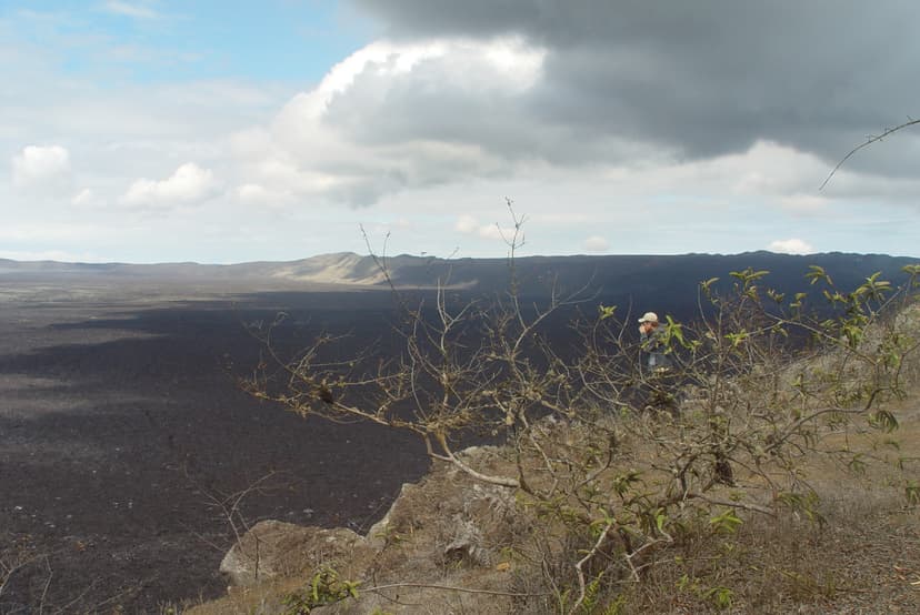 Caldeira de lave noire du volcan Sierra Negra vue depuis le bord du cratère, île Isabela