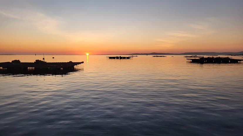 Mussel rafts on the Ría de Arousa at sunset, Rías Baixas