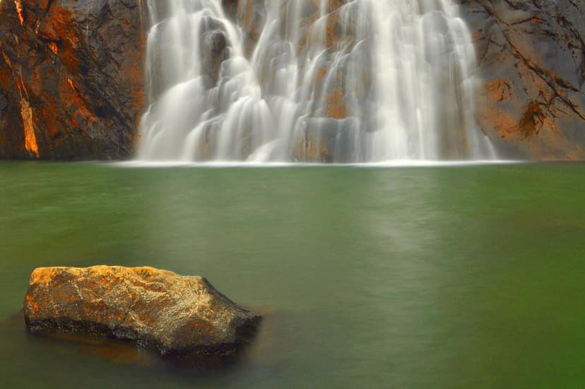 Voiles d'eau des chutes de Dudhsagar plongeant dans un bassin vert, Ghats occidentaux, Goa