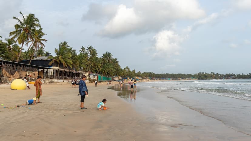 Goa - photo 1