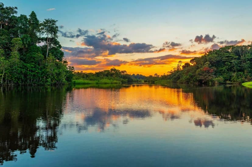 Guyane - photo 1
