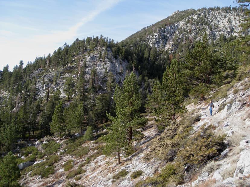 Randonneur sur le Tahoe Rim Trail entre pins et versants de granit au-dessus du bassin du lac Tahoe