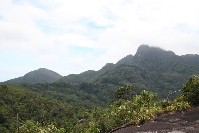 Forested ridges and the summit of Morne Seychellois seen from a granite slab, central Mahé