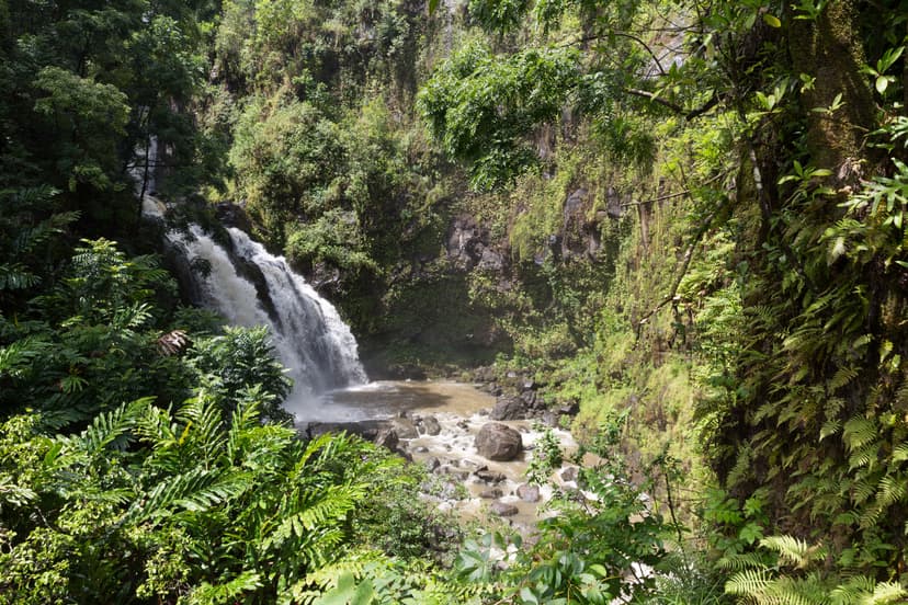 Upper Waikani Falls in lush rainforest beside the Road to Hana, Maui