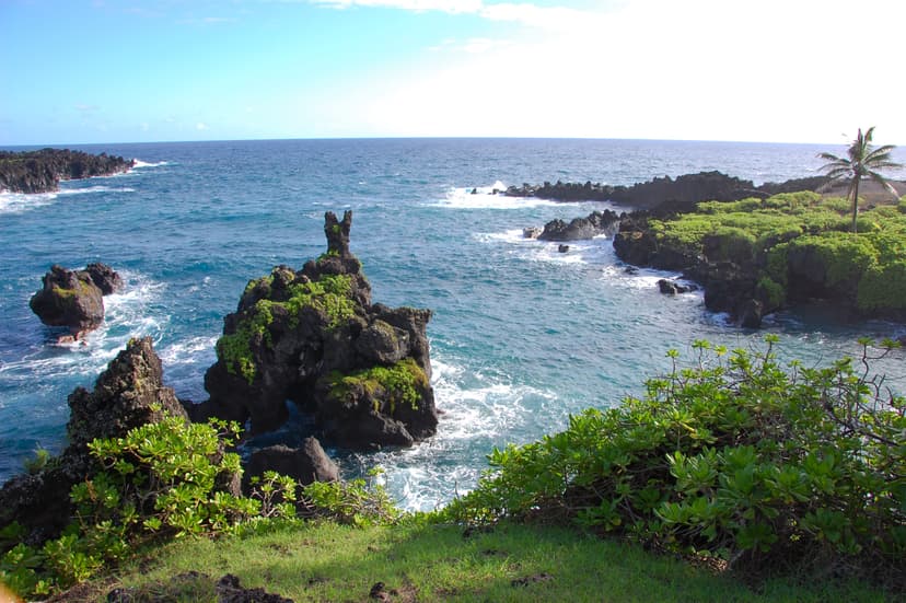 Black sand beach and lava coastline at Waiʻānapanapa State Park near Hana, Maui