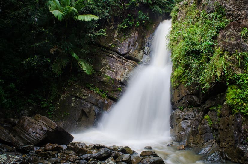 Cascade au milieu de la végétation dense de la forêt tropicale d'El Yunque