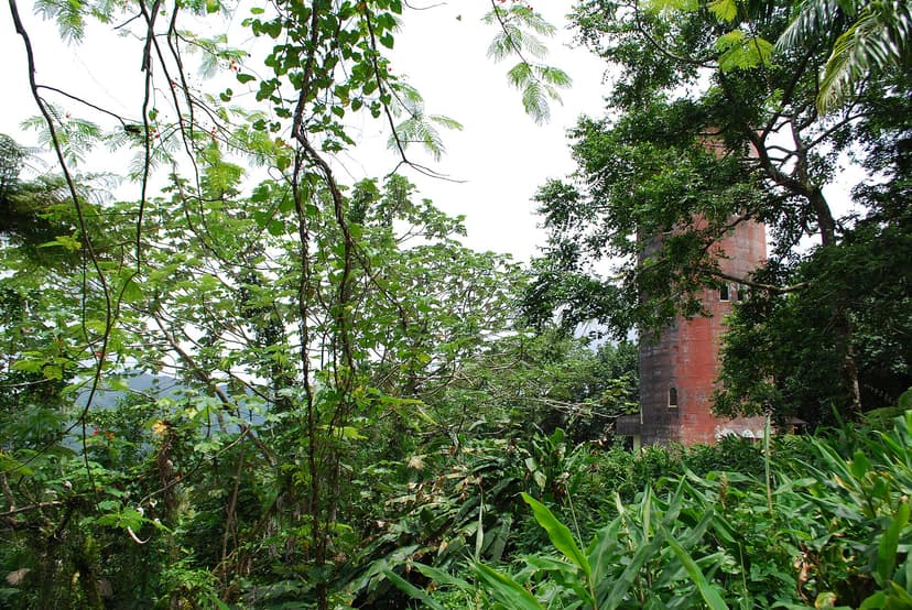 La tour d'observation Yokahú dominant la canopée d'El Yunque