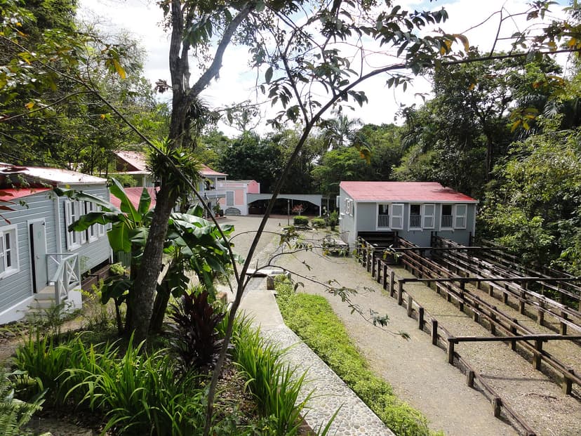 Bâtiments de l'hacienda de café Buena Vista dans les collines au-dessus de Ponce