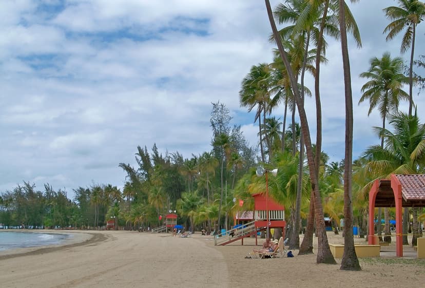 Cocotiers et sable clair de la plage de Luquillo, nord-est de Porto Rico