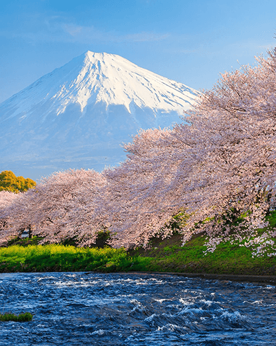 Tokyo, Japon