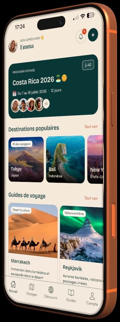 Aperçu de l'application PlanTripNow