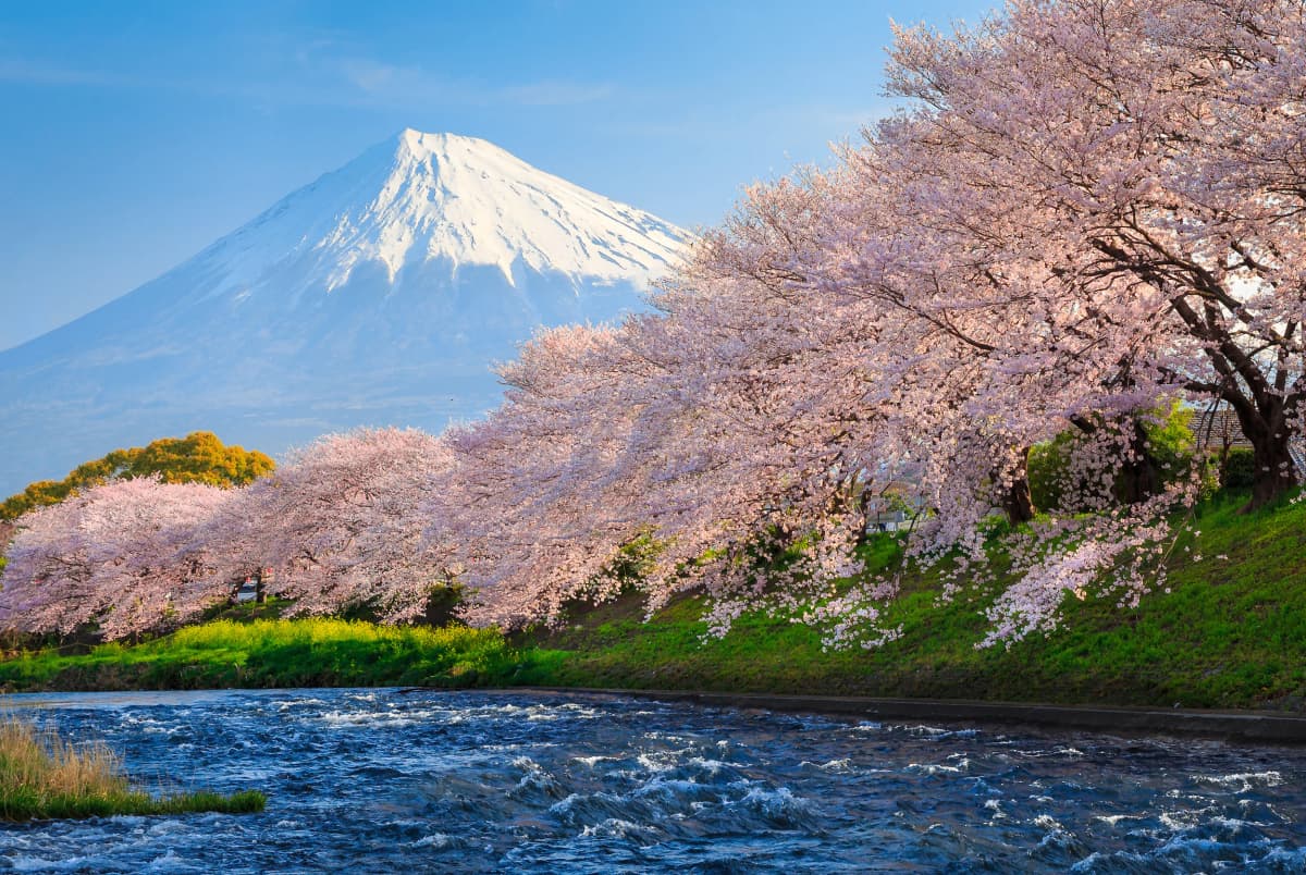 Tokyo