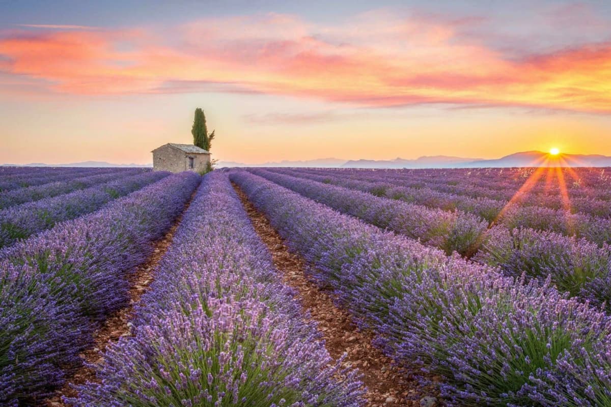 Provence