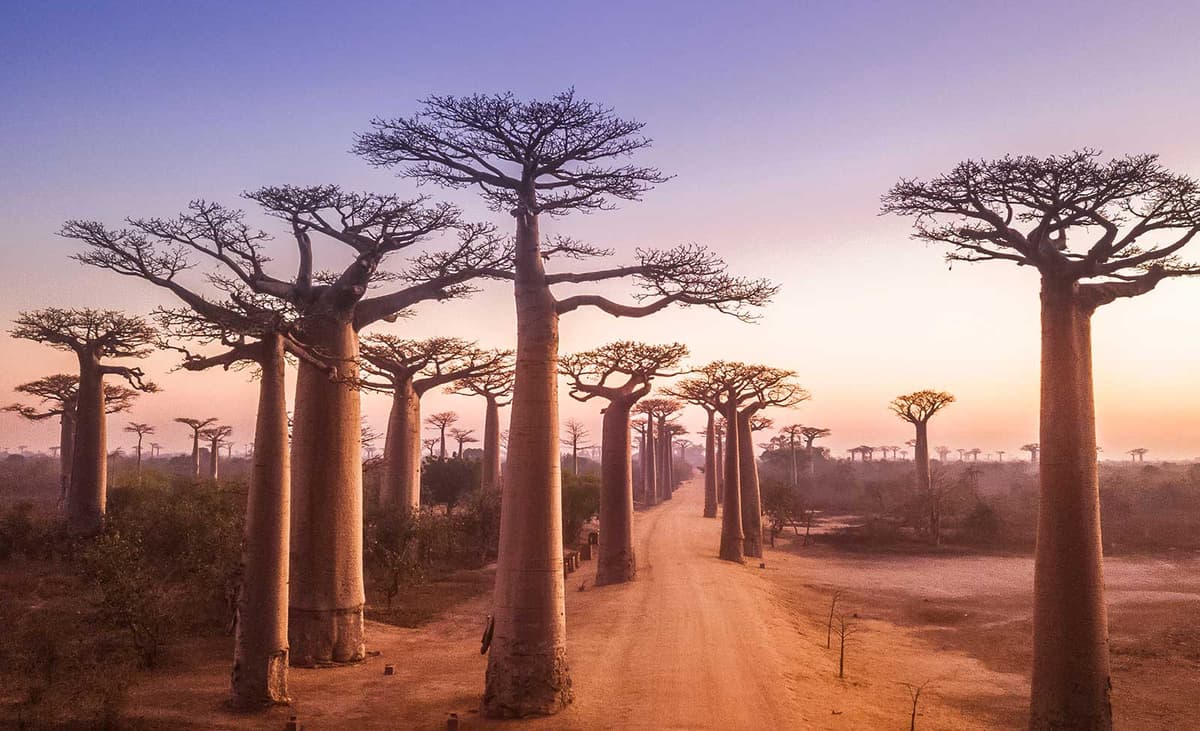 Madagascar