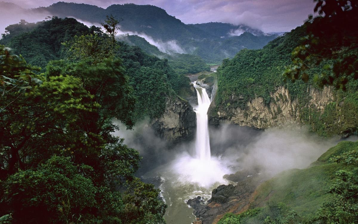 Amazonie